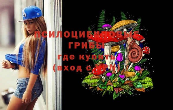 соль ск Гусев