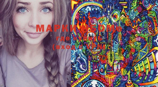 индика Сясьстрой