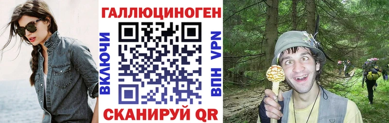 Купить где  Поронайск  Псилоцибиновые грибы Psilocybine cubensis 